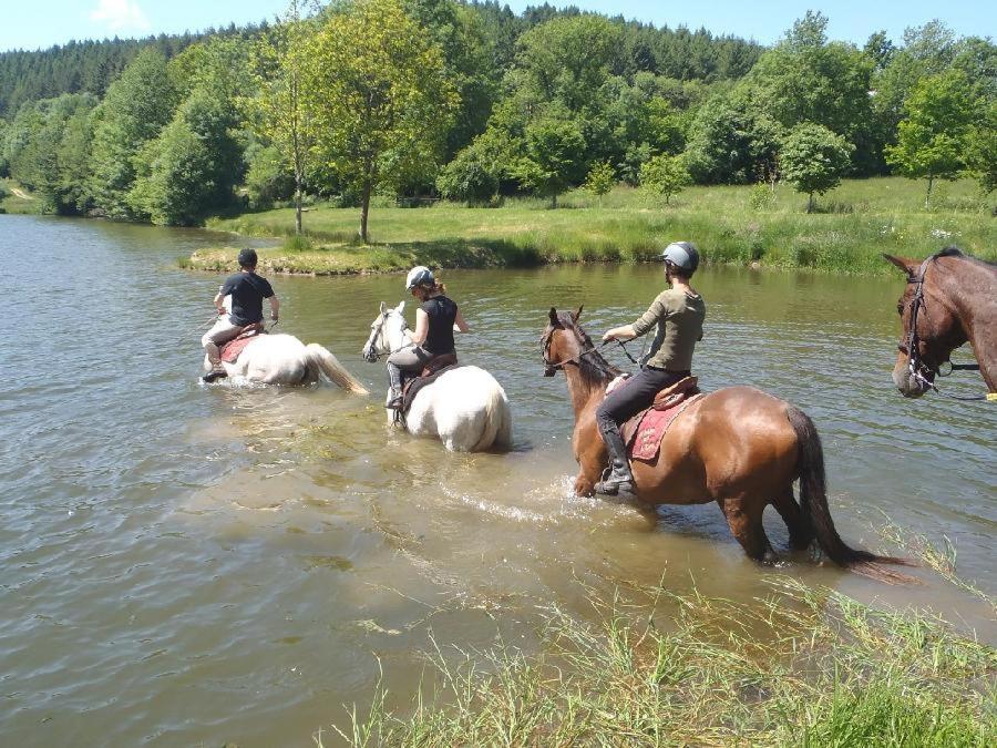 Le Relais Des Lacs Bourgogne Morvan Planchez Exterior foto